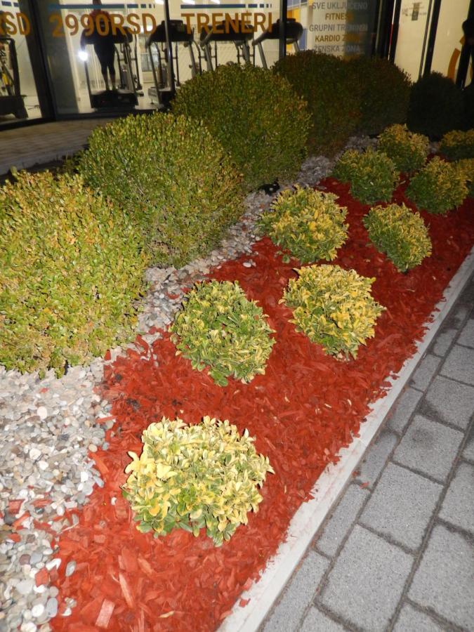 Central Palace Apartmani - Pupinova Palata Novi Sad Eksteriør billede